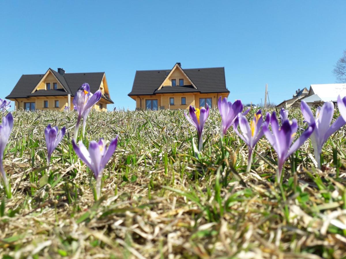 Witowianskie Domki Z Kominkiem, Jacuzzi I Sauna Dzianisz Extérieur photo