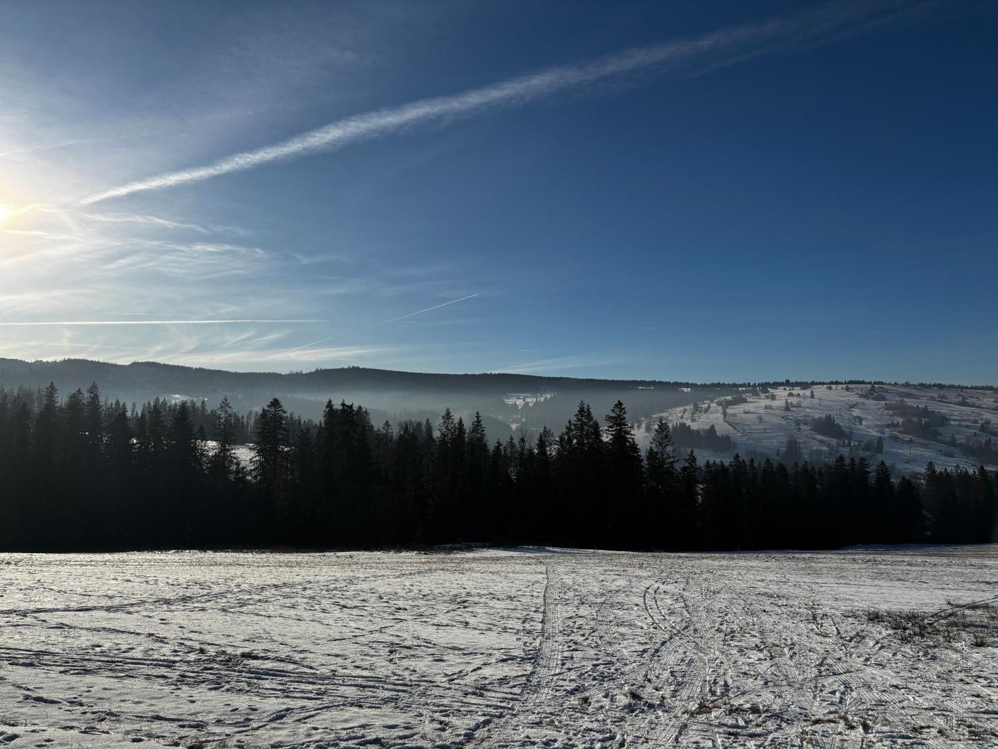 Witowianskie Domki Z Kominkiem, Jacuzzi I Sauna Dzianisz Extérieur photo
