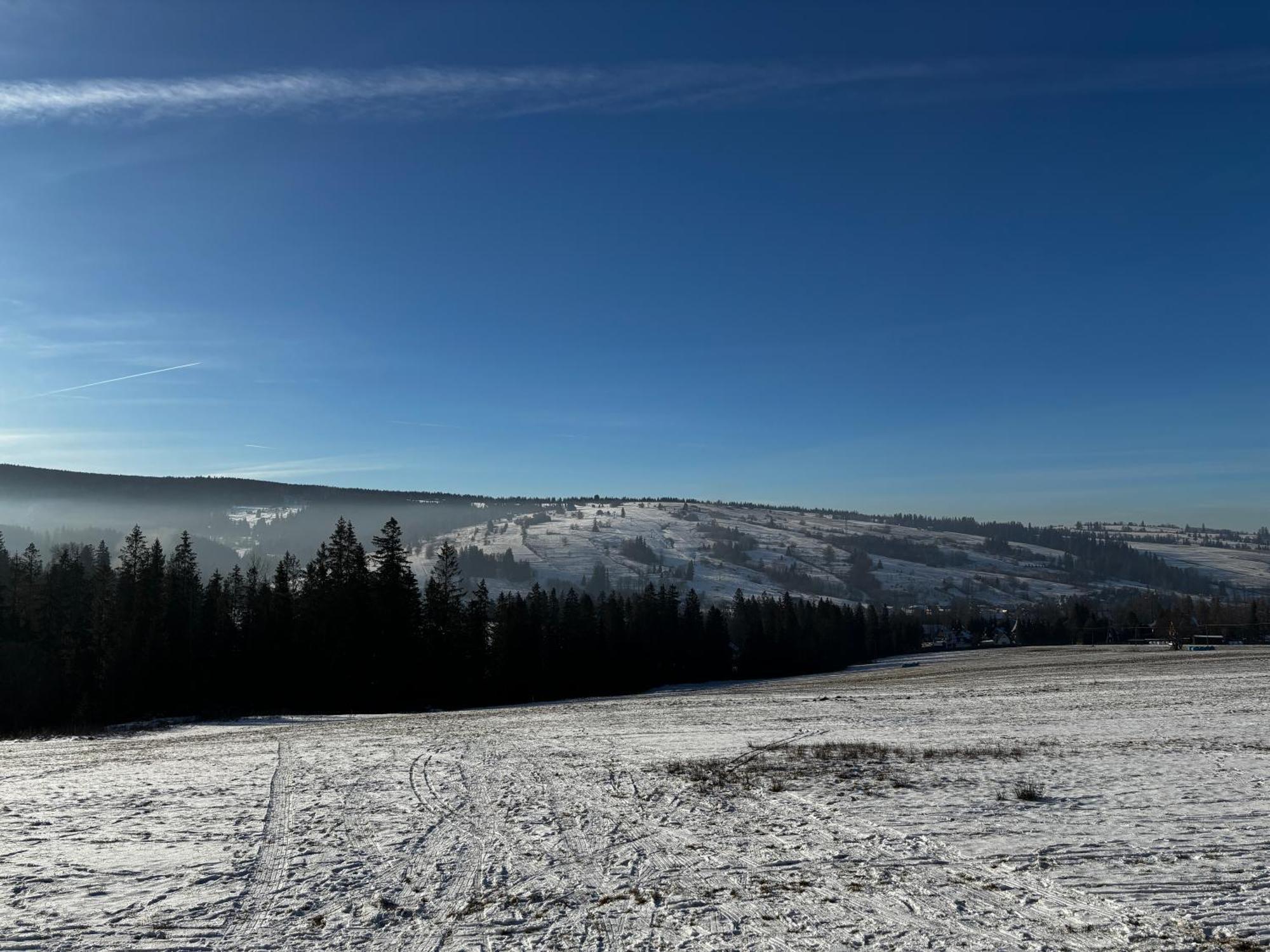 Witowianskie Domki Z Kominkiem, Jacuzzi I Sauna Dzianisz Extérieur photo